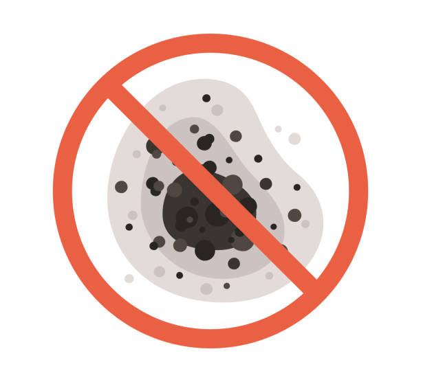 Best Real Estate Mold Inspection  in Roslyn, NY