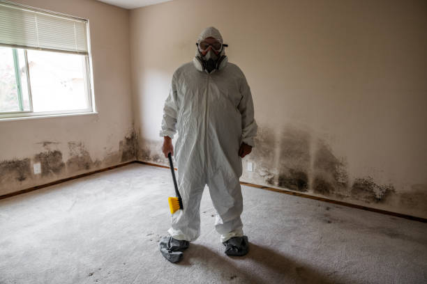 Professional Mold Removal in Roslyn, NY